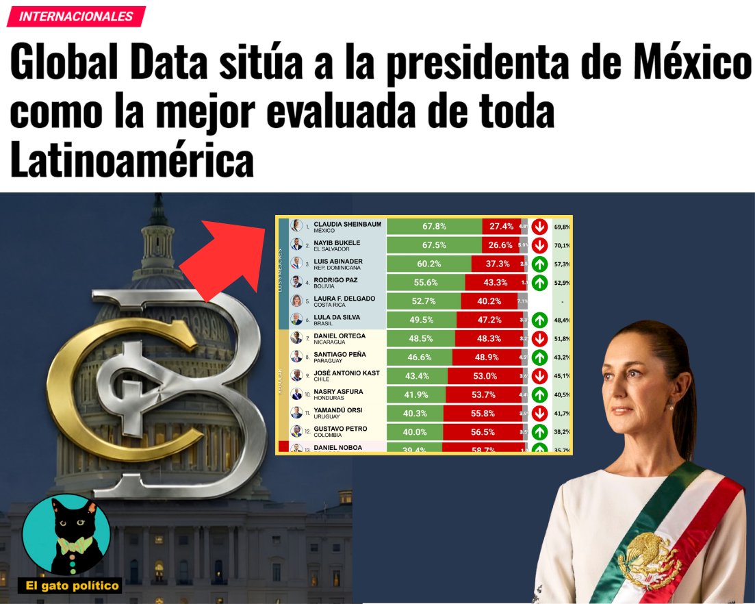 El gato político tweet media
