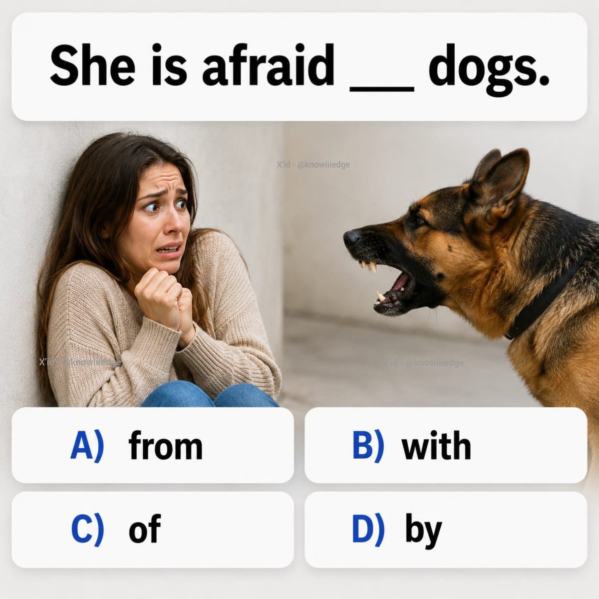 English grammar tweet media