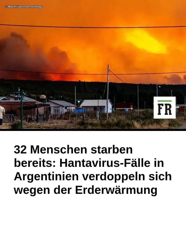 The_Stormrider_👑🇩🇪 tweet media