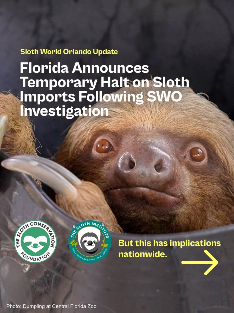 The Sloth Institute tweet media