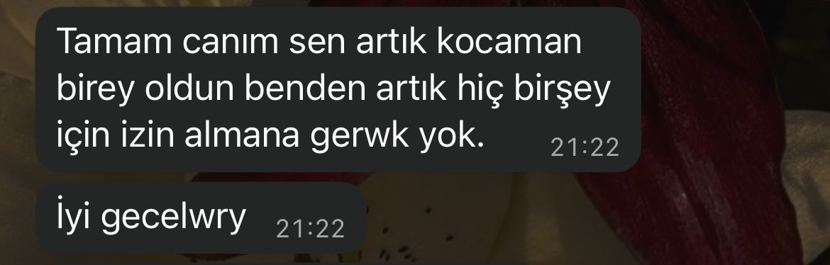 MtSude tweet media