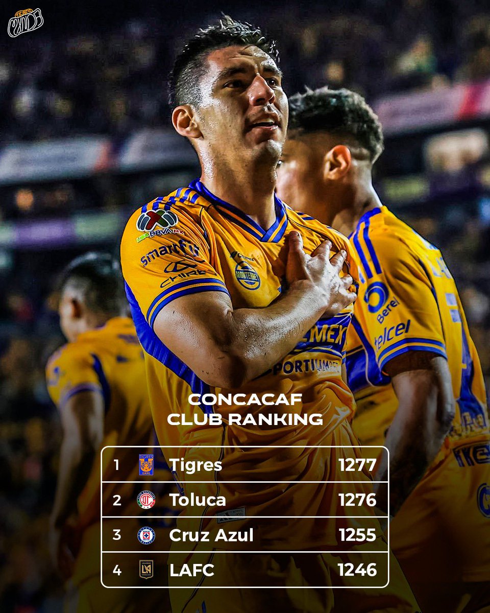 Tigres Mxnda 🐯 tweet media