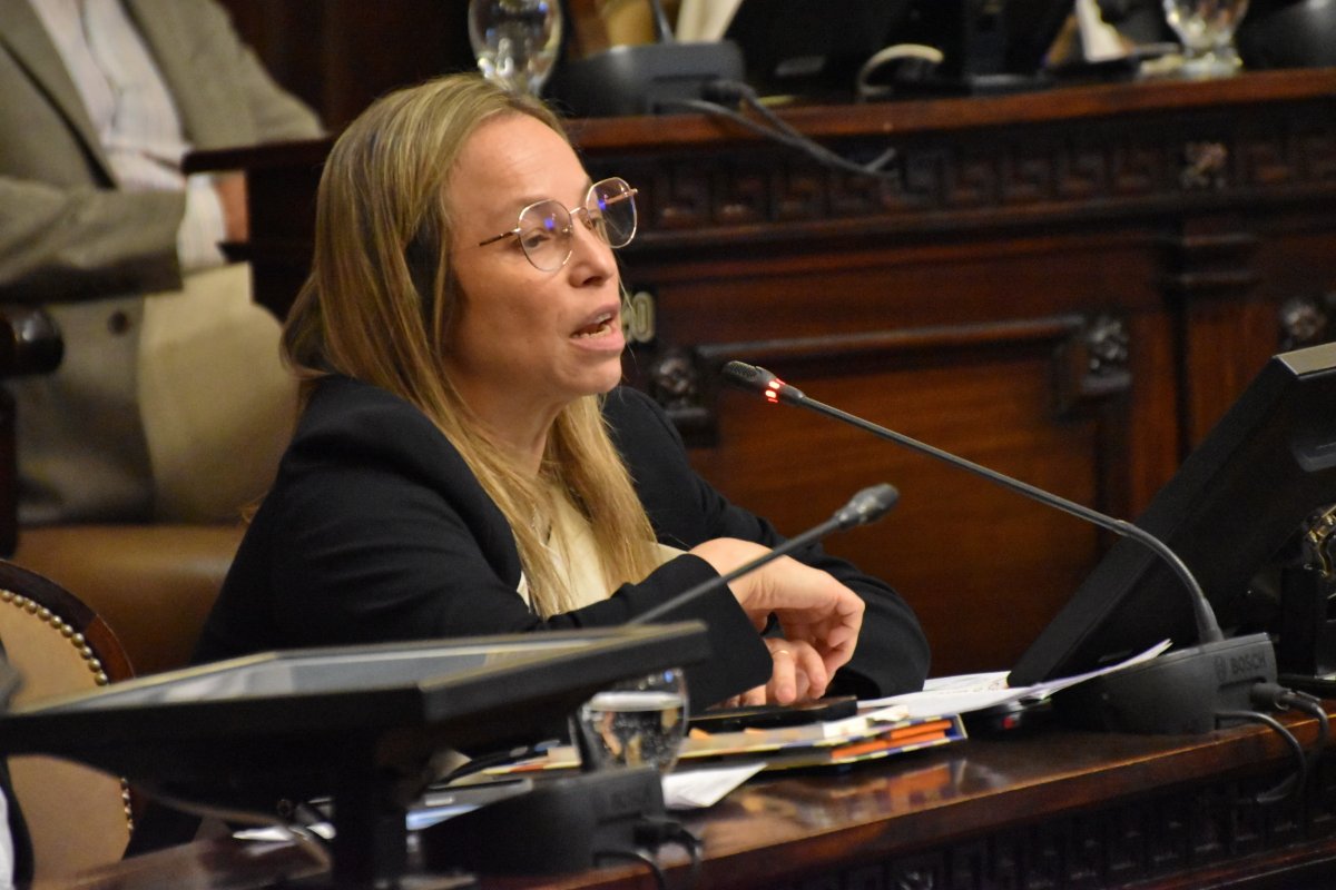 Prensa Diputados Mza tweet media