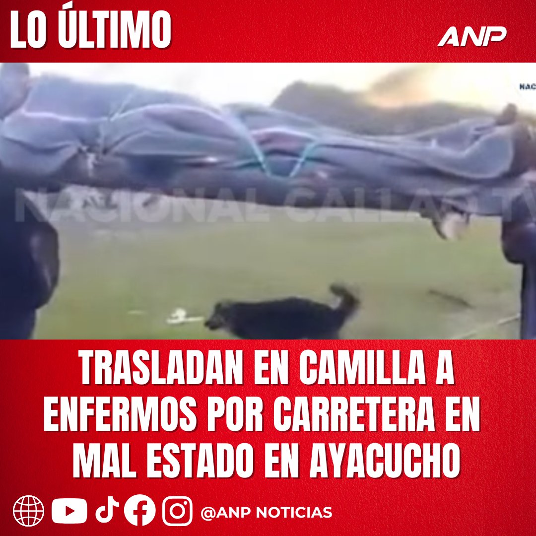 ANP Noticias tweet media