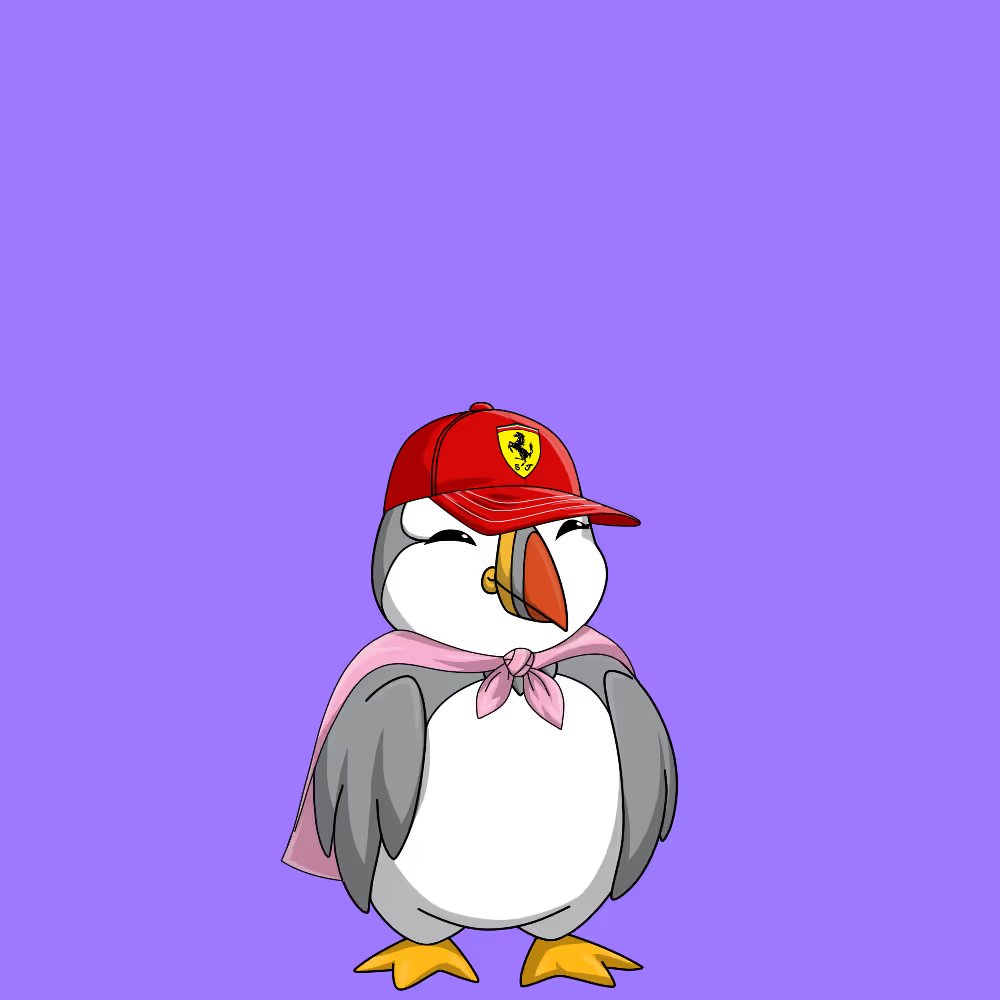 Puffins tweet media