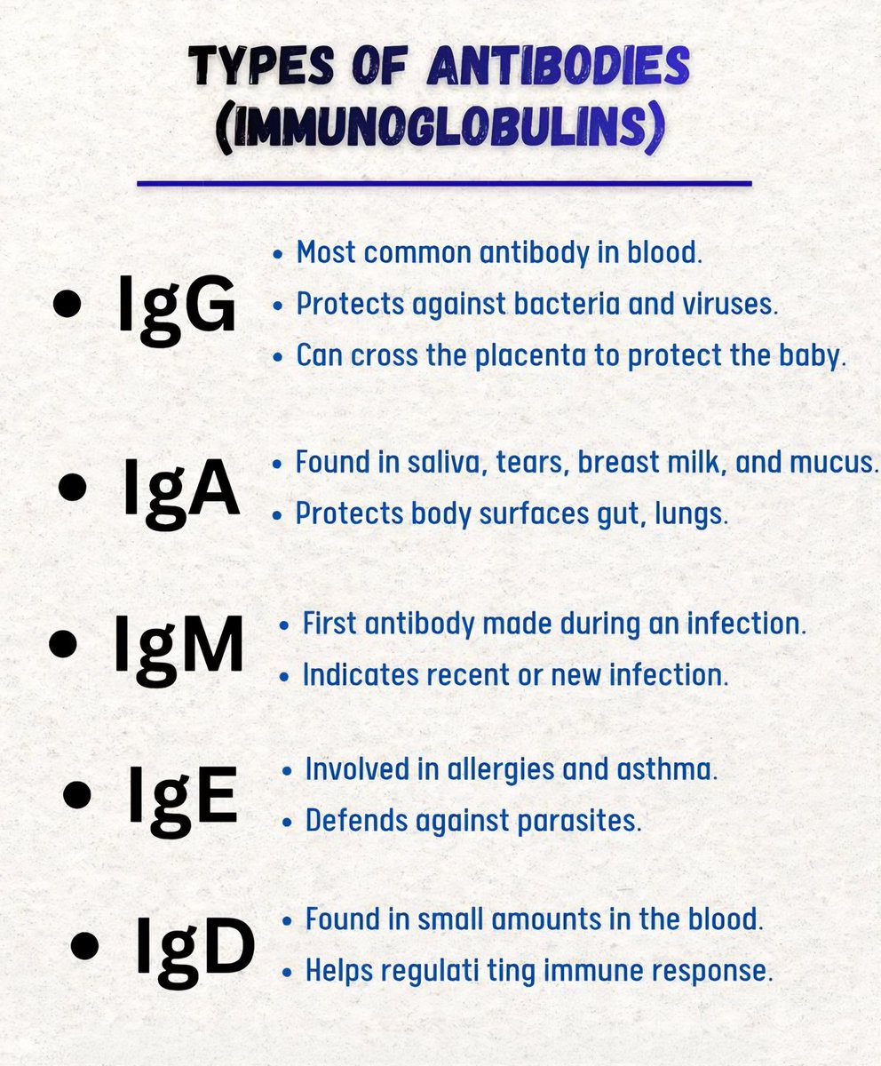 Meded Daily tweet media