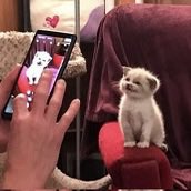 perosper0rin's tweet photo. https://t.co/4ffbuGbWHm