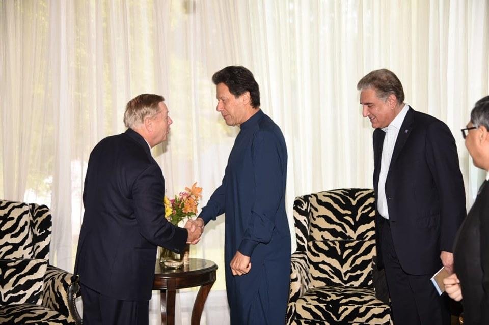 Imran Rabbits 🚨🚨🚨🚨🚨🚨🚨🚨Going down a rabbit hole of Imran's unusually keen interest in ...