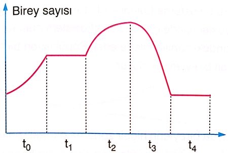 Beren tweet media