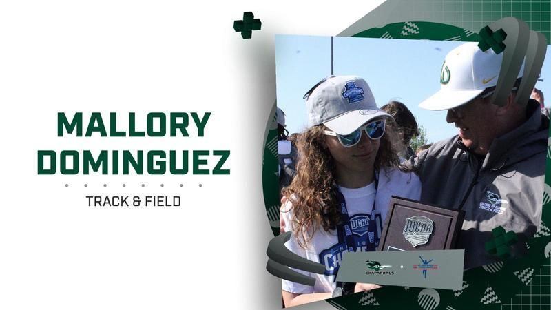 College of DuPage Alumni tweet media