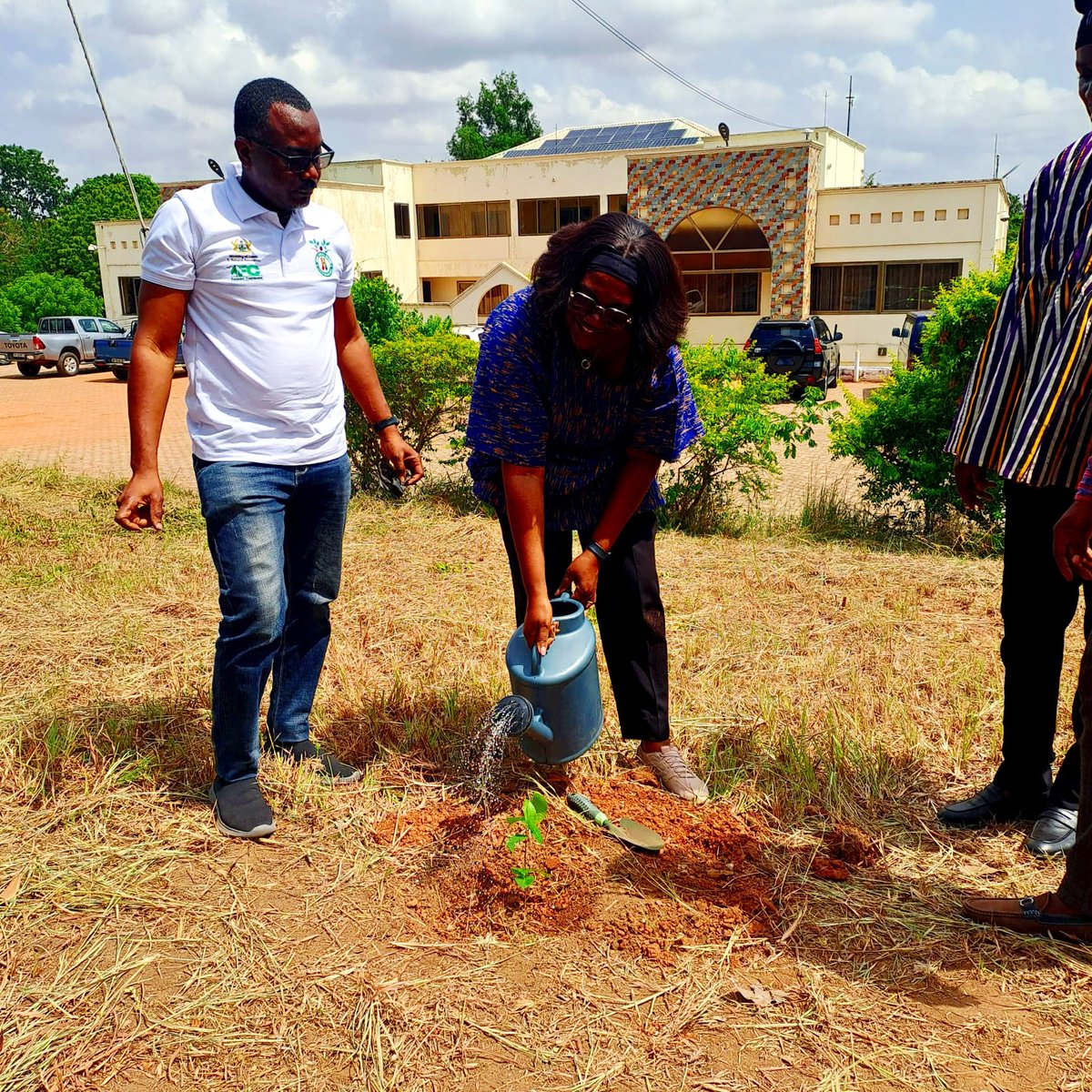 NamibiaGhana's tweet photo. On 13 May 2026, the High Commission of the Republic of Namibia in Ghana undertook to plant trees in commemoration of the birthday of the Founding President and Father of the Namibian Nation who was born on 12 May 1929, he would be 97 this Year.

#namibia https://t.co/bXD0CkF5ca