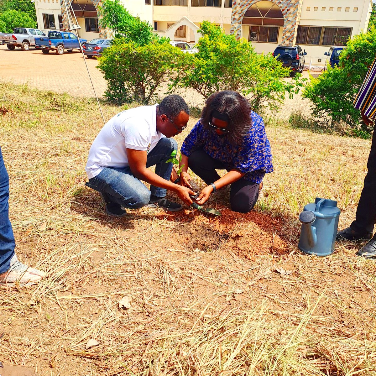 NamibiaGhana's tweet photo. On 13 May 2026, the High Commission of the Republic of Namibia in Ghana undertook to plant trees in commemoration of the birthday of the Founding President and Father of the Namibian Nation who was born on 12 May 1929, he would be 97 this Year.

#namibia https://t.co/bXD0CkF5ca