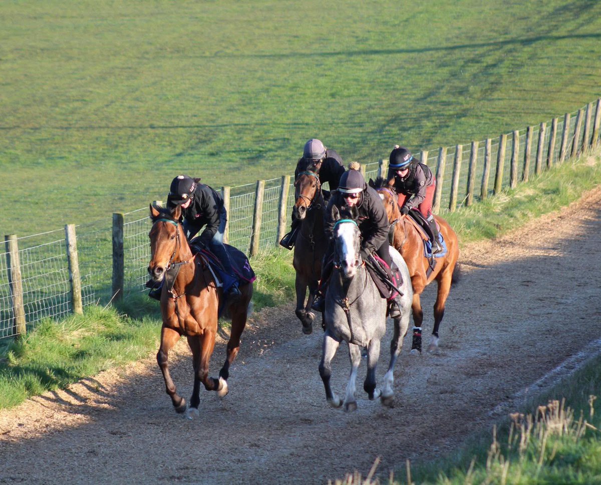Let's Be Lucky Racing tweet media