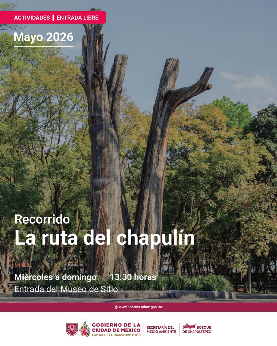 Bosque De Chapultepec tweet media