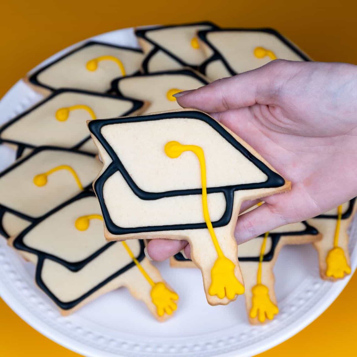 VisitIthaca's tweet photo. Class of 2026, you did it!🎓🎉
Ithaca's local businesses are showing their love for IC and Cornell with graduation-inspired treats and goodies. Celebrate this milestone in the sweetest way.

📸: IC Grad Box from Gardella's Goodies
📸: Grad cookies &amp; cake from CTB &amp; Ithaca Bakery https://t.co/SJyP0e96gn