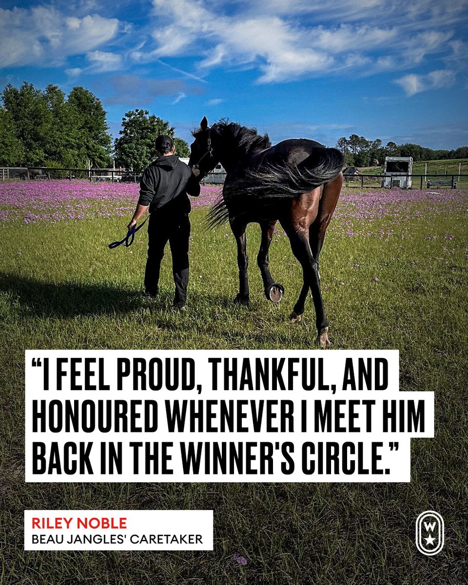 Woodbine Mohawk Park tweet media