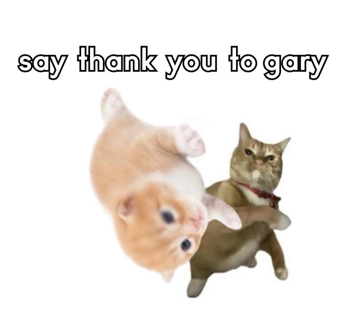gary tweet media