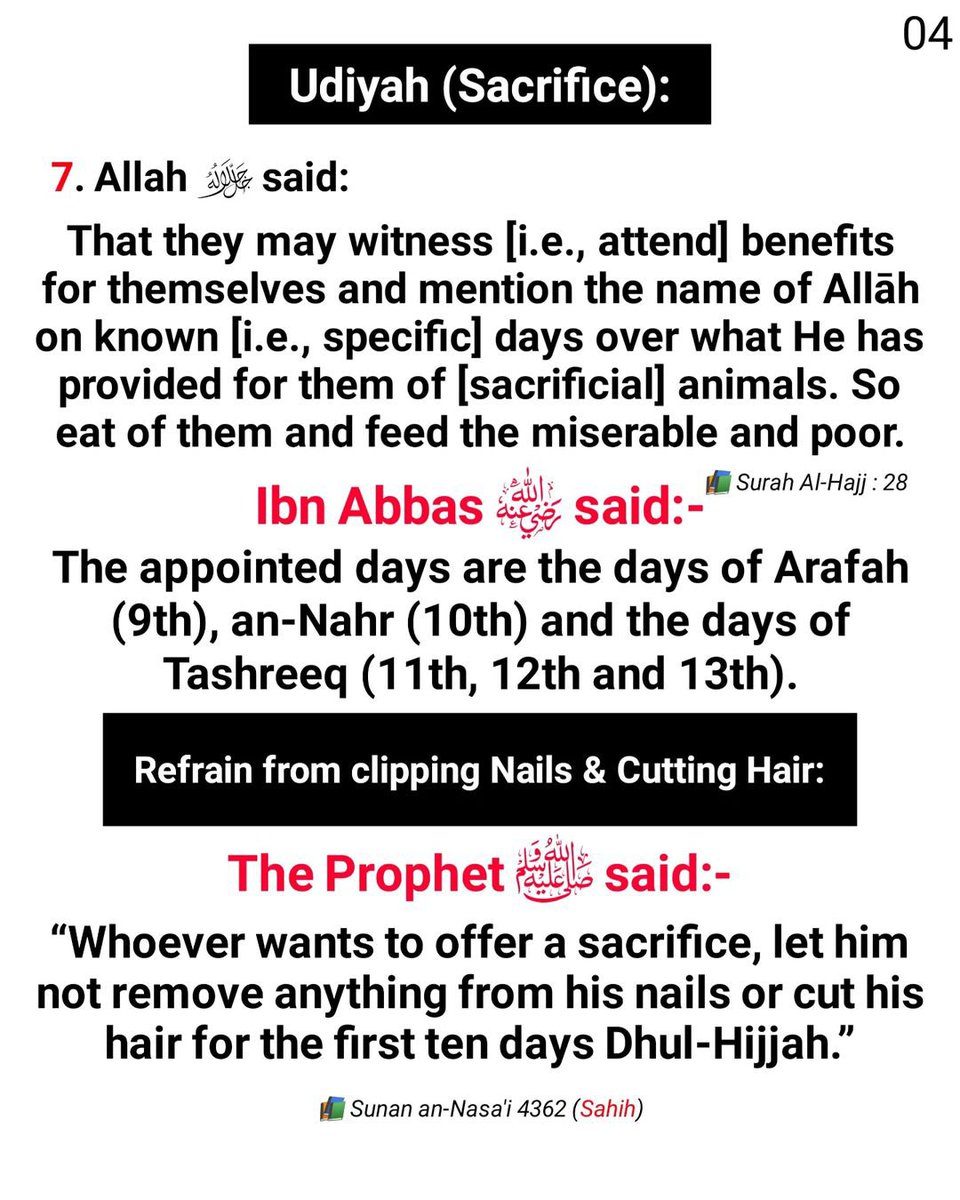 salahudeen33's tweet photo. https://t.co/PtInXIgO1c
