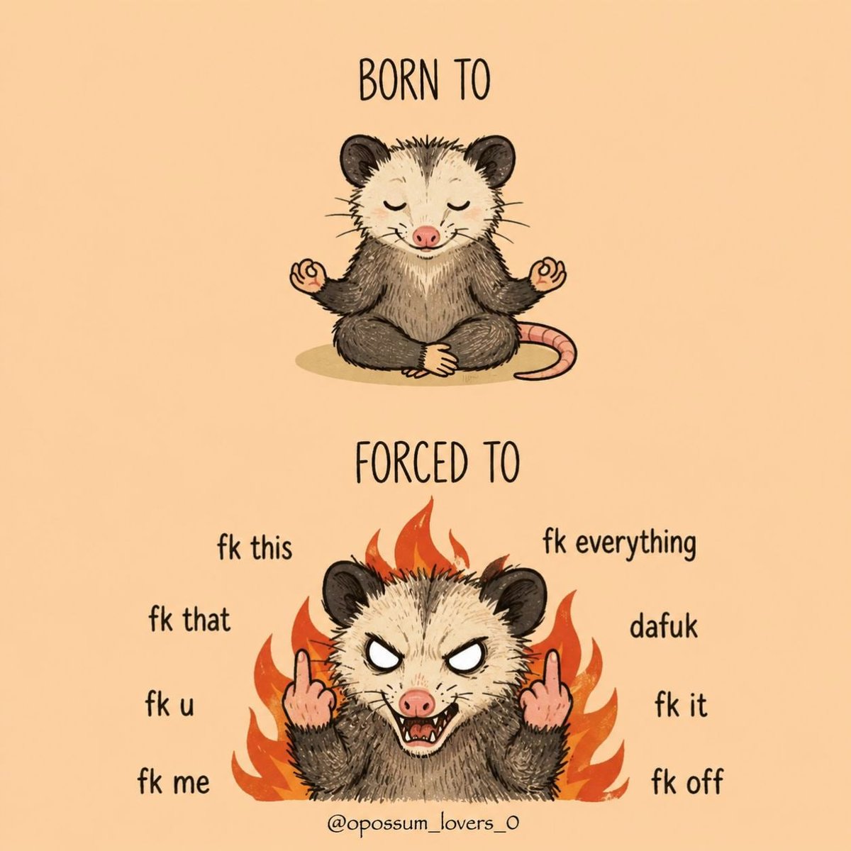VilDaPossum's tweet photo. Me mandaron esto, si soy. https://t.co/r2Q5VK9mtP