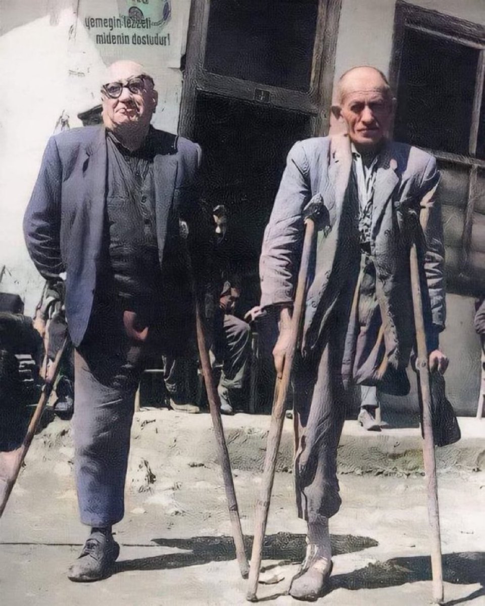 Gökçe Katun tweet media
