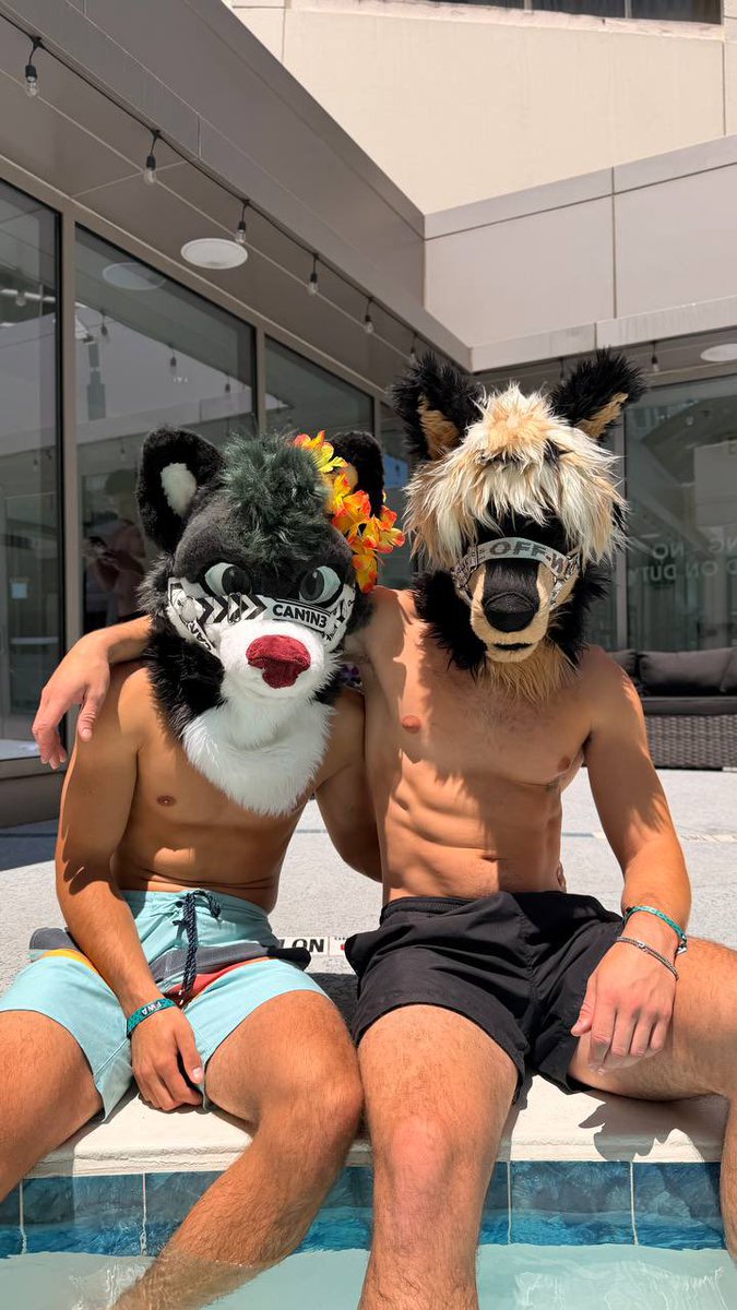 trophymvtt's tweet photo. FWA pool time with bae @smallhoosk 
📸 @/malingenn (on IG)
#fwa #furry #fursuit #furryweekendatlanta https://t.co/xQA9HiGAaf