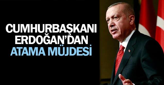 aişe tweet media