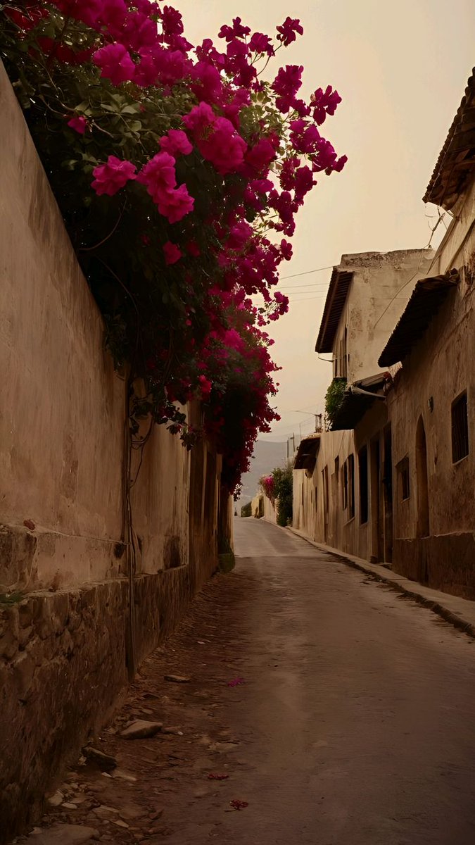 eeithar13's tweet photo. اڪثر ما يقتل الانسان..
 هو ان يكون صامتاً.. 
في الوقت الذي يحتاج 
فيـه إلى التحدث.. 
#ظلـــيل
#اثر_الحروف_الأدبي
#مرافئ_الحنين https://t.co/iPW7RjbWgV