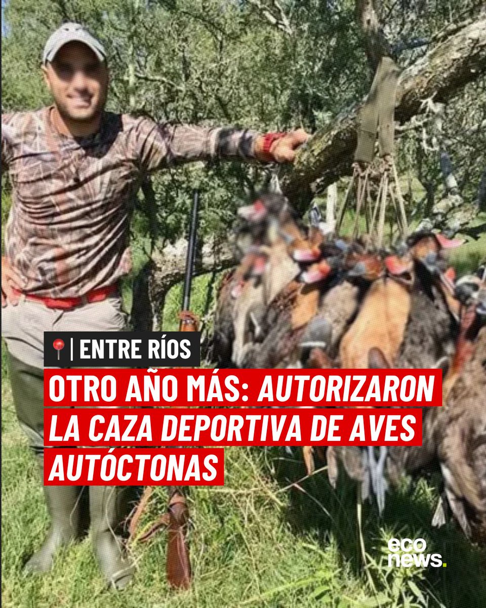 EcoNews en español tweet media