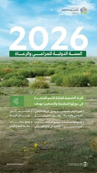 Bander7594's tweet photo. @r_cattle_kw للأسف أن يتم تقليص المراعي في العام الذي أقرته الجمعية العامة للأمم المتحدة عام 2026 السنة الدولية للمراعي والرعاة وتتولى منظمة الأغذية والزراعة للأمم المتحدة قيادة هذه المبادرة وتهدف هذه السنة إلى رفع مستوى الوعي العالمي بأهمية المراعي ودور الرعاة في الأمن الغذائي وحماية البيئة https://t.co/1MSXYbQHCQ
