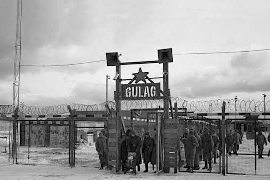 eldiosstalin's tweet photo. @efrenesquedaa @c4jimenez Mándame a Ese Maricon Para Llevarlo A Los Gulags y Hay Trabajara Hasta La Muerte Perro Cabton Culero..

Att  Stalin El Todopoderoso. https://t.co/BgawbmG0oV