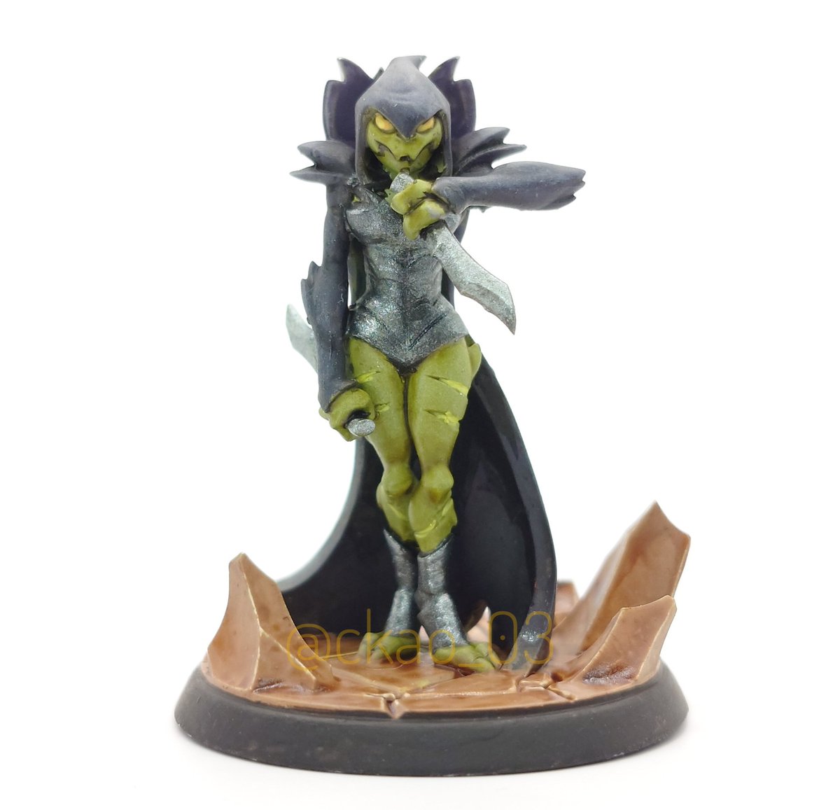 ckao_03's tweet photo. Second mini finished!
Finally got to try using a small photo booth that was collecting dust.

The Rogue Toh-Ka, from @lostcoofficial #miniatures #ttrpg #tabletopgaming #tabletoprpg @mushroomgrenade https://t.co/R9FIpHR5Bj