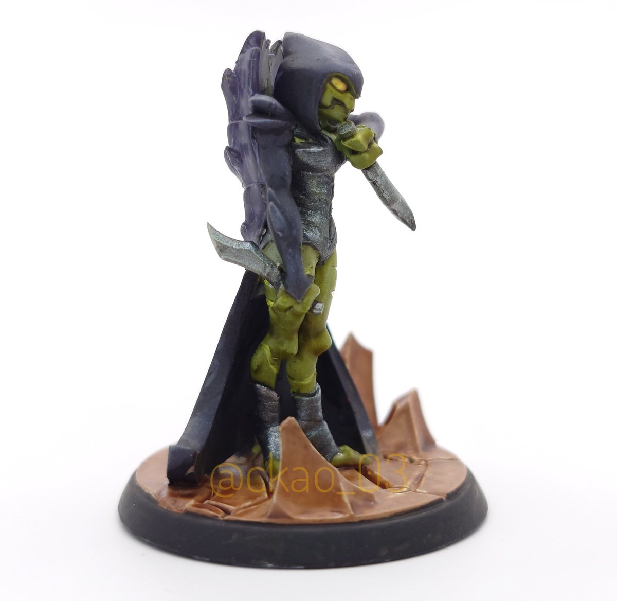 ckao_03's tweet photo. Second mini finished!
Finally got to try using a small photo booth that was collecting dust.

The Rogue Toh-Ka, from @lostcoofficial #miniatures #ttrpg #tabletopgaming #tabletoprpg @mushroomgrenade https://t.co/R9FIpHR5Bj