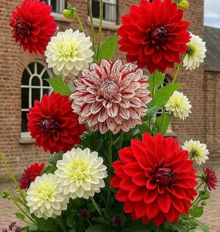 LinaSil09806213's tweet photo. https://t.co/cqqiLvttOL