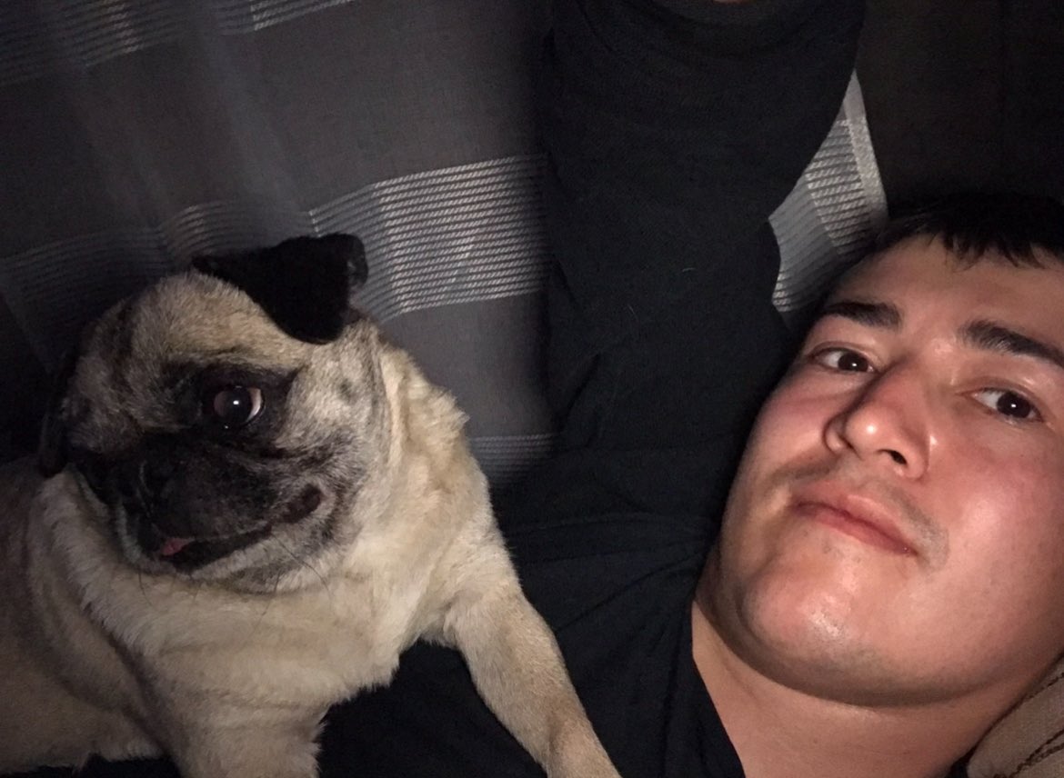 Xav_3_3's tweet photo. Hasta siempre gordita, gracias por tu amor, Umma y Zombie te extrañarán y  todos en esta familia 🌷🌸💖 https://t.co/XMpJPGHtDv