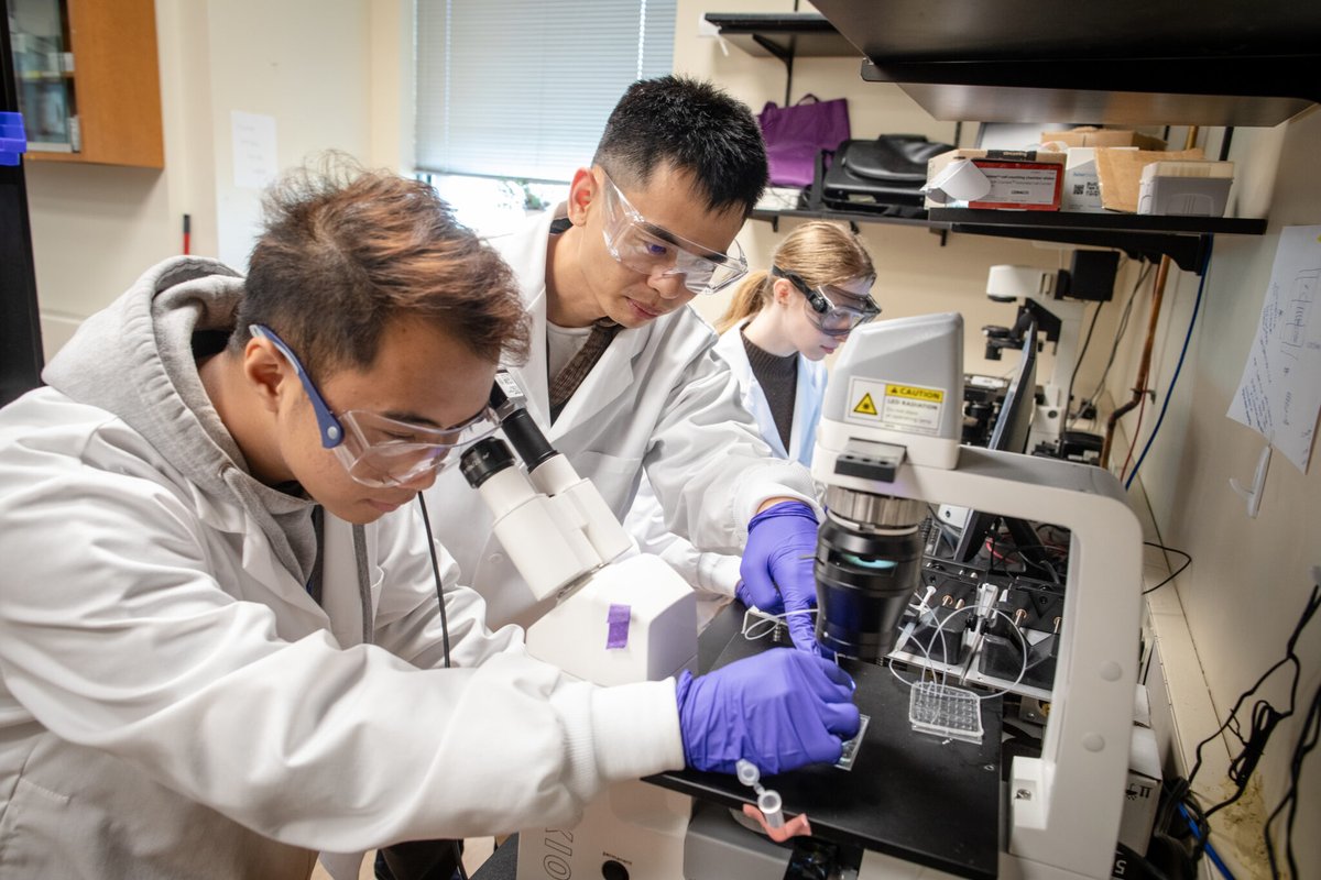 University of Toronto Engineering tweet media