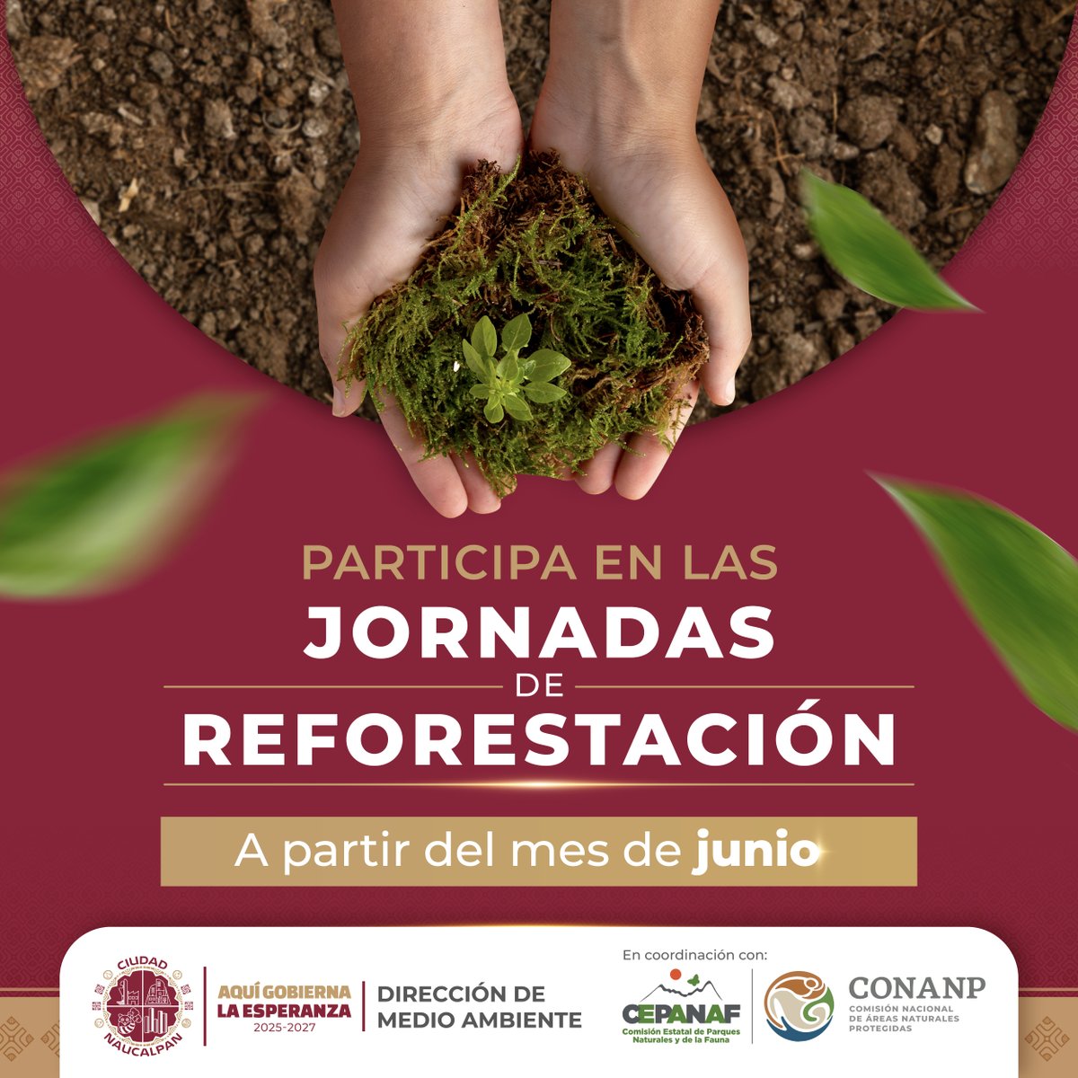 GobNau's tweet photo. Te invitamos a participar en las Jornadas de Reforestación impulsadas por el Gobierno de Ciudad Naucalpan, a través de la Dirección de Medio Ambiente. 🌳 🍃🌱✨
👉 Consulta las imágenes para mas información.
#AquiGobiernaLaEsperanza #Naucalpan #MedioAmbiente #Reforestacion https://t.co/eC3DrTbw1g