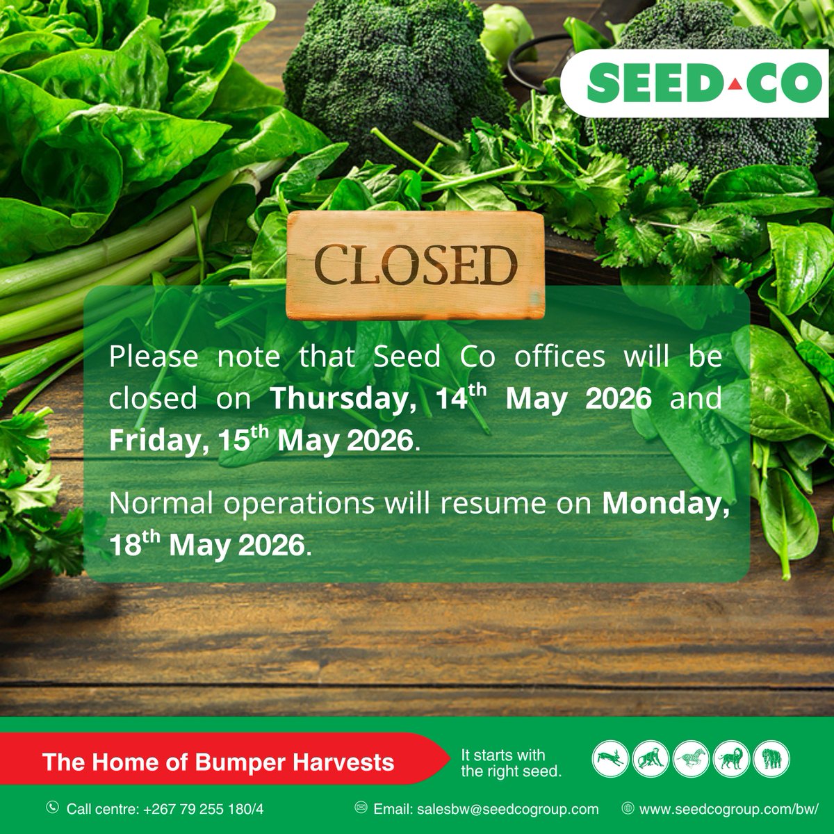 Seed Co Botswana tweet media