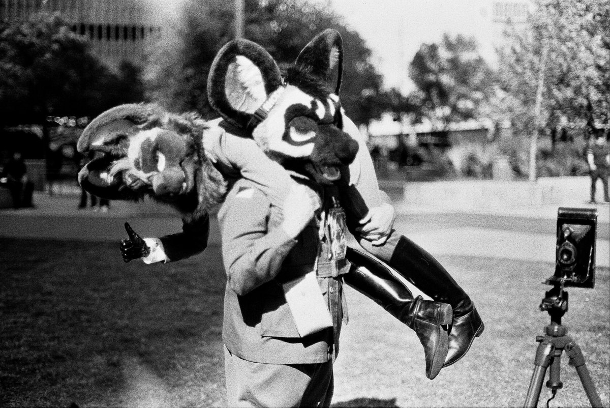 AmbulanceDog 🔜 TFF/FWA/MP tweet media
