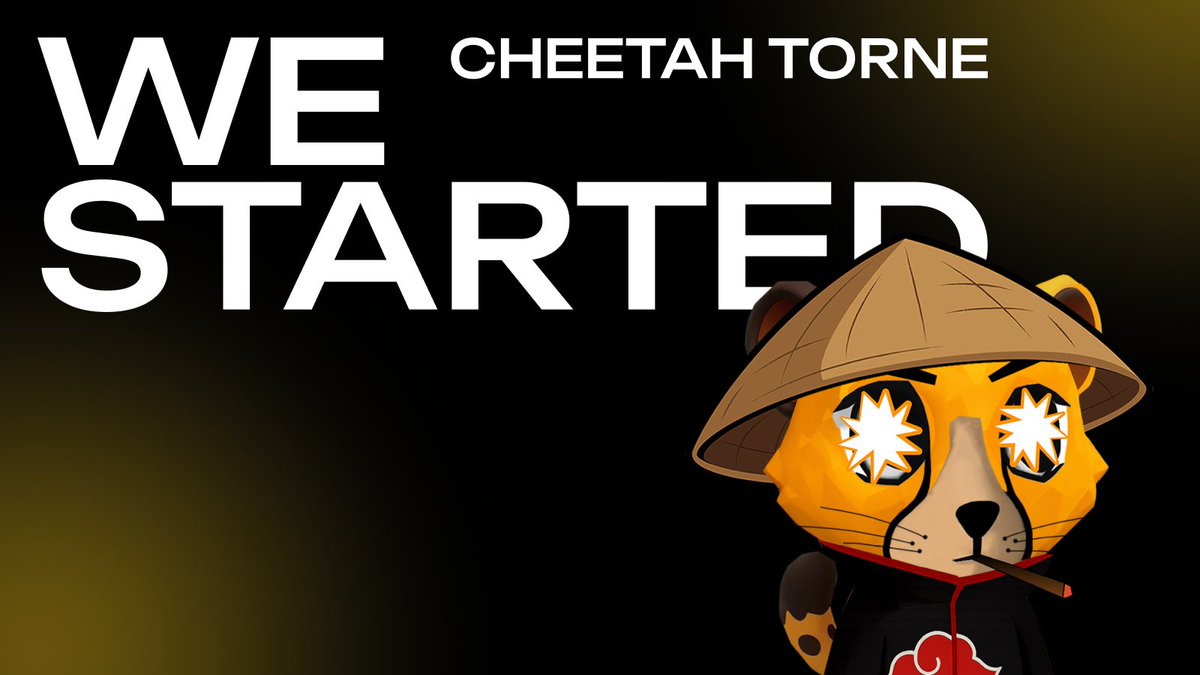 Cheetah Torne tweet media