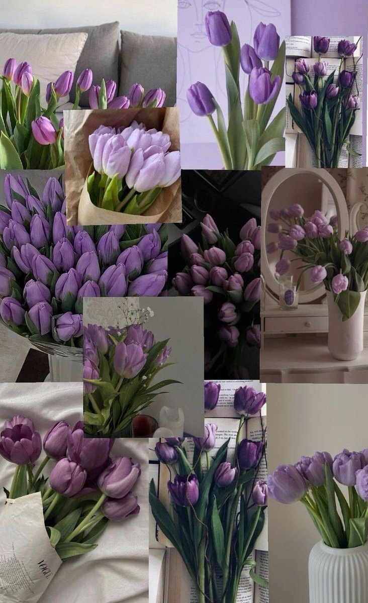 violet✧*｡ tweet media