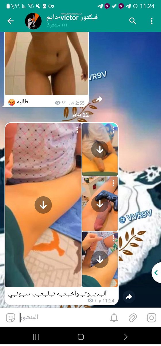 صقر المدى tweet media