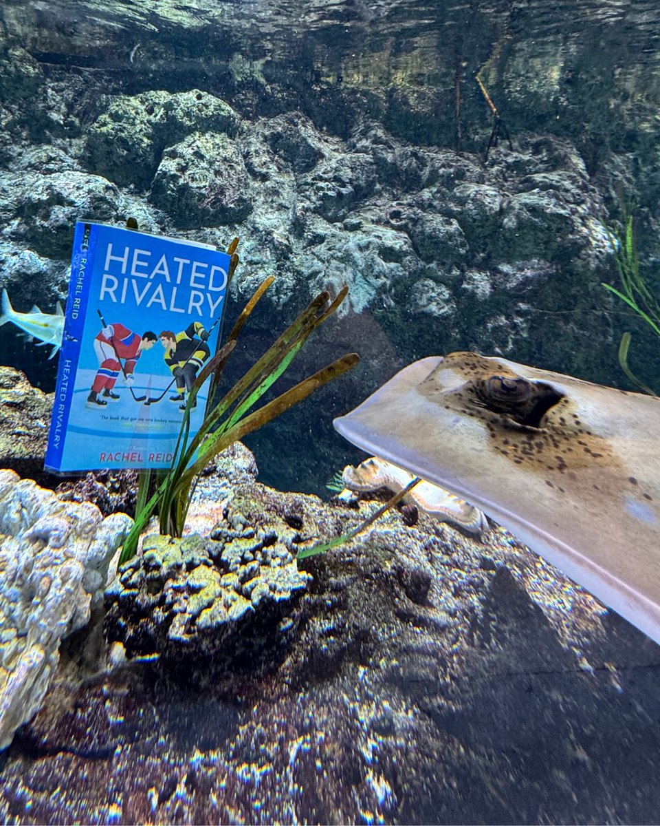 SeattleAquarium's tweet photo. Aquarium book club has been going swimmingly 🏒💙🐠 

📸: Senior Aquarist Kelly https://t.co/BdUnEepNJg