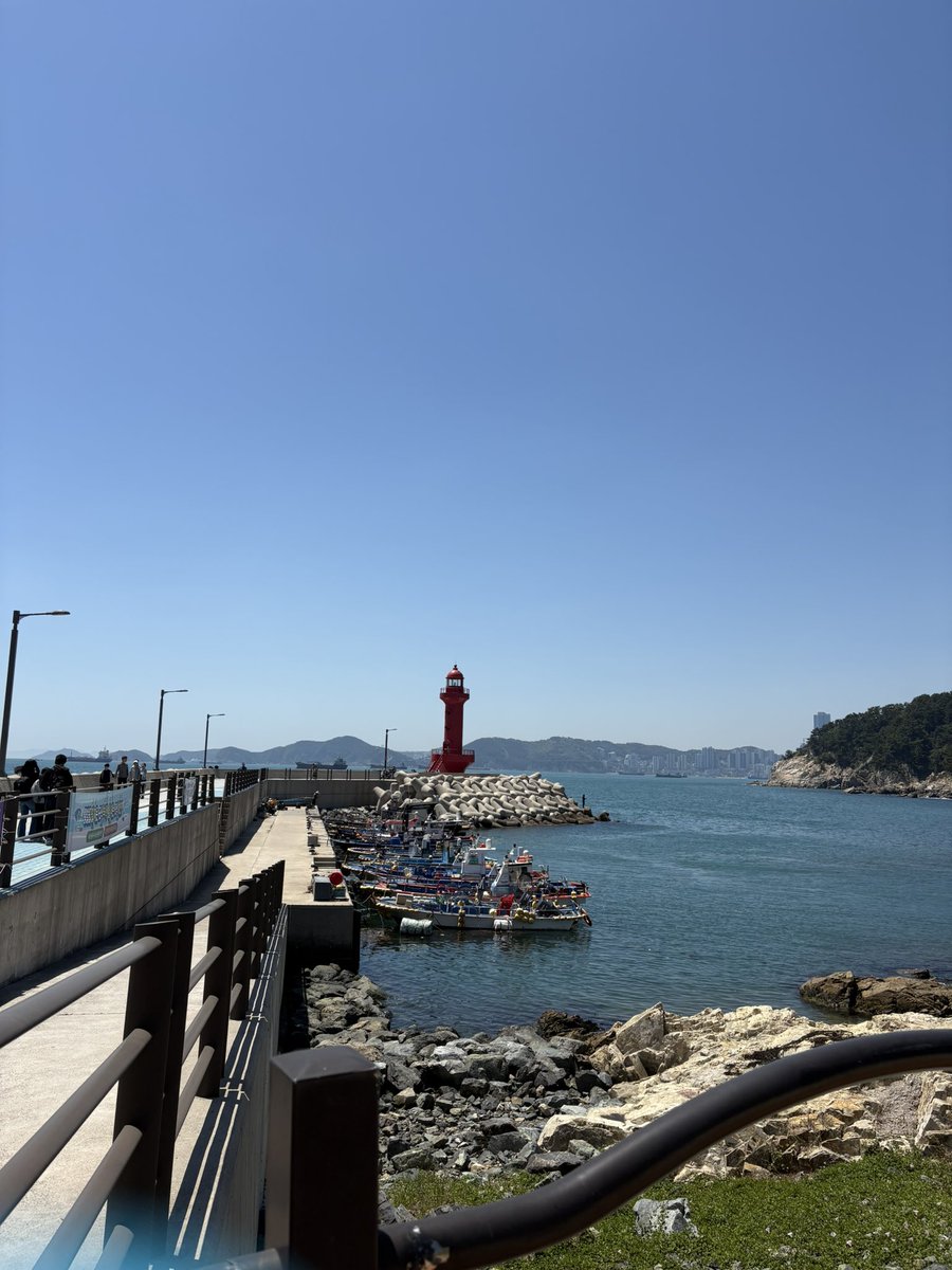 1Dmeq6's tweet photo. 釜山で1番幸せな時間を過ごせたのは、影島海女村でした🌊✨✨
天気も良くて、過ごしやすい天気(寧ろ少し暑い🌺)
そんな中、お外で食べるご飯は美味しくないわけなくて雲丹も臭みなくて甘い💗ムール貝のスープも美味しかったし、キンパすら美味しい！絶対また行く！ https://t.co/3btTkCydgy