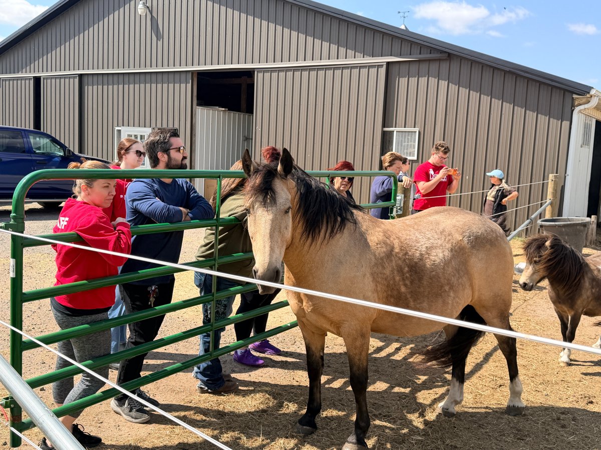 BGCMN's tweet photo. Who knew time with horses could heal? 🐴💚 Celebrating Mental Health Awareness Month with Angel Reins Stable, embracing calm, connection, and self-care. https://t.co/yYRL9O6Z13