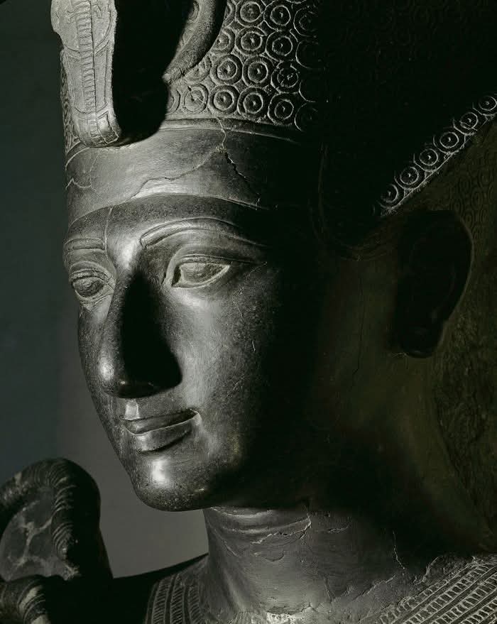𓂀 Nefertiti : Nile Tales 𓅓 tweet media