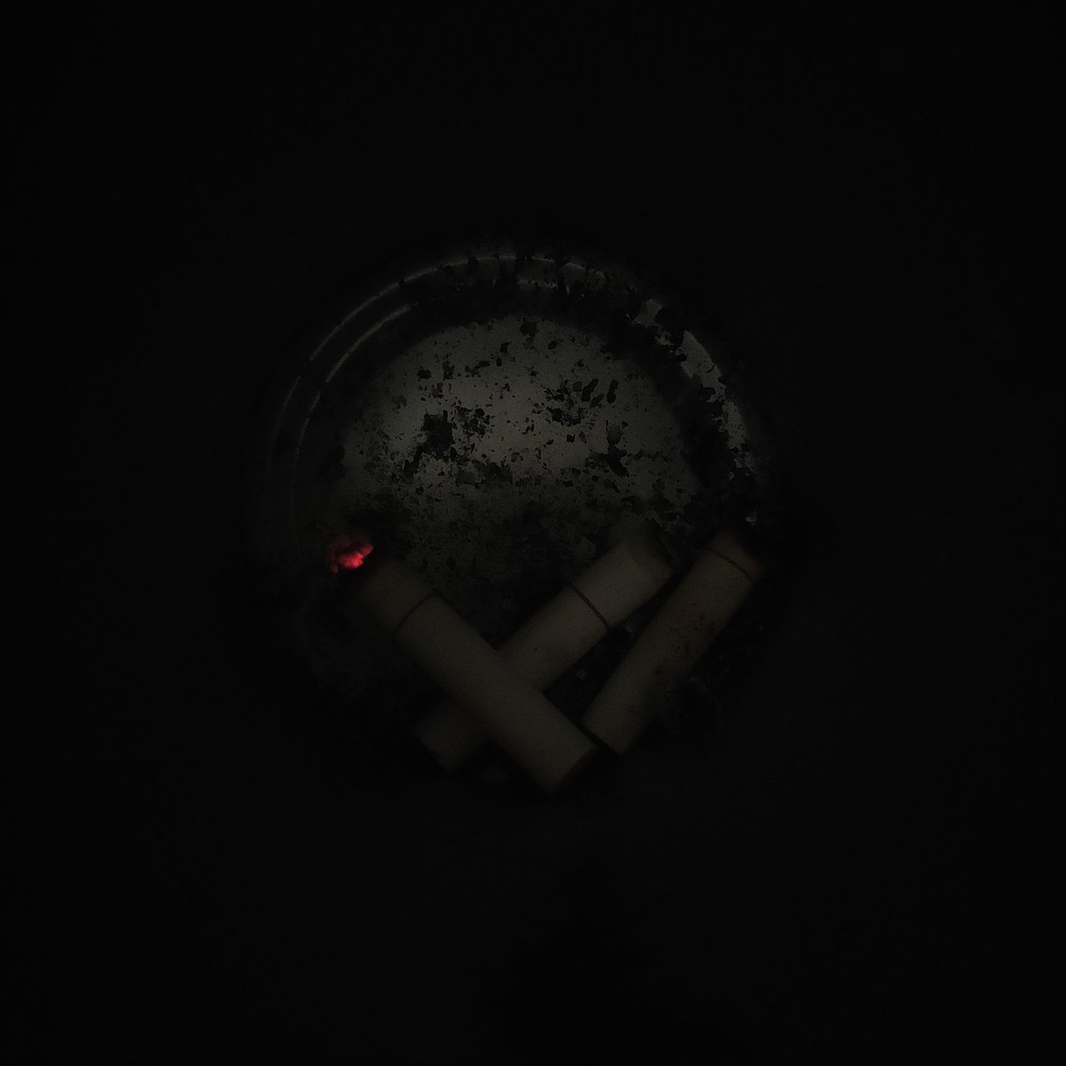 Slow Moon tweet media