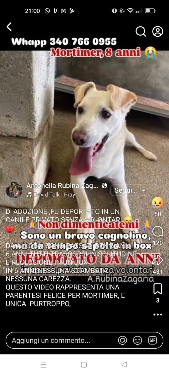 Claudia Benvenuti tweet media