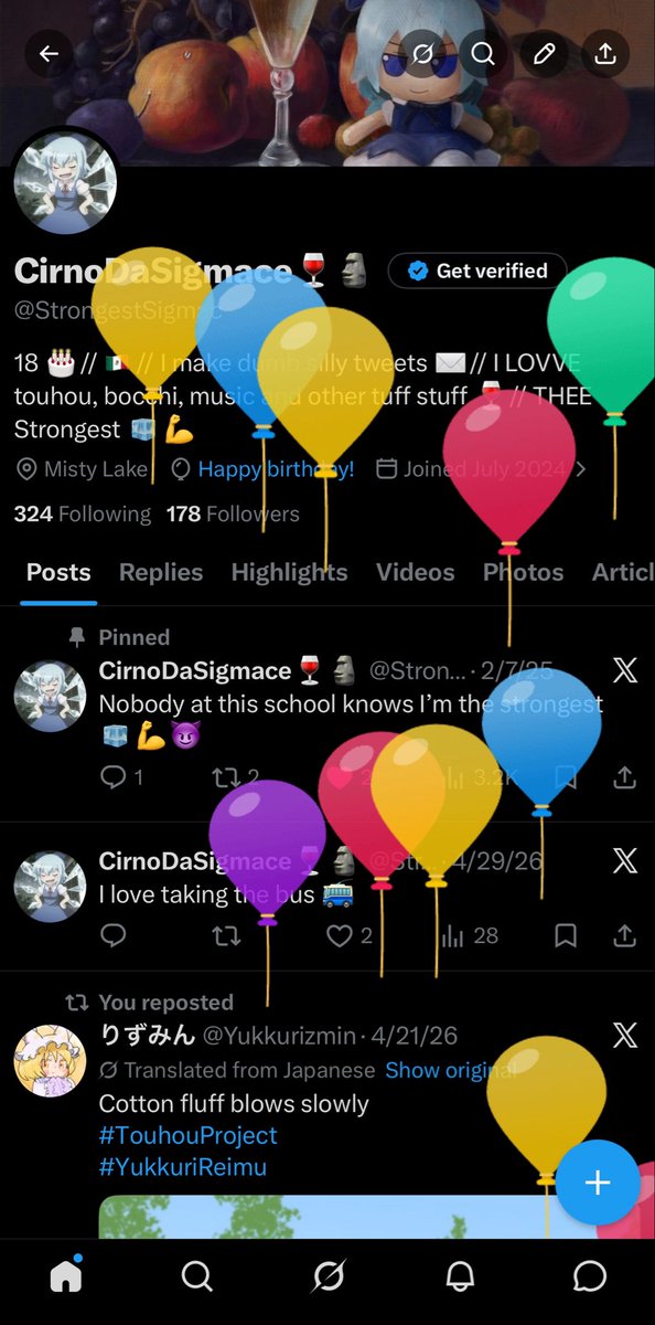CirnoDaSigmace🍷🗿 tweet media