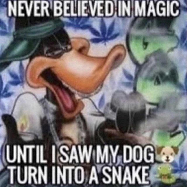 timmy ☣️ tweet media