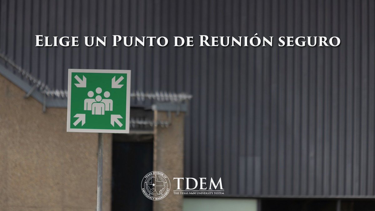 TDEM en Español tweet media